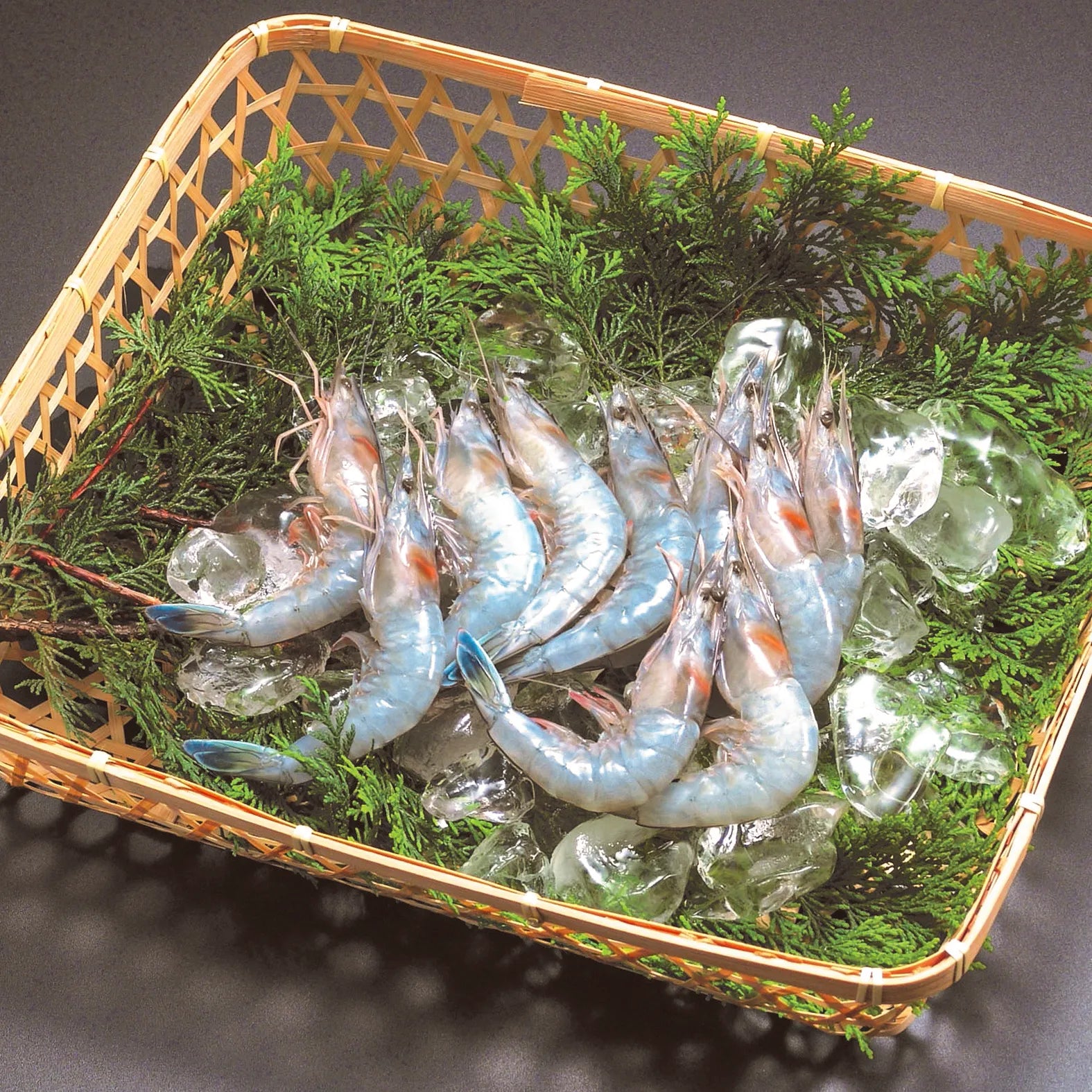 天使の海老 1kg|高級海老お取り寄せ通販|海老平や直売所 天使の海老 1kg|高級海老お取り寄せ通販|海老平や直売所