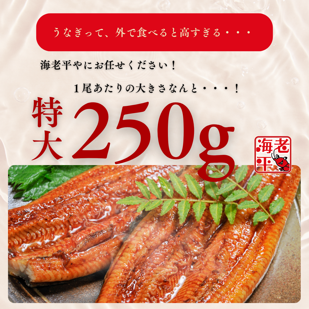 大満足サイズのうなぎの紹介