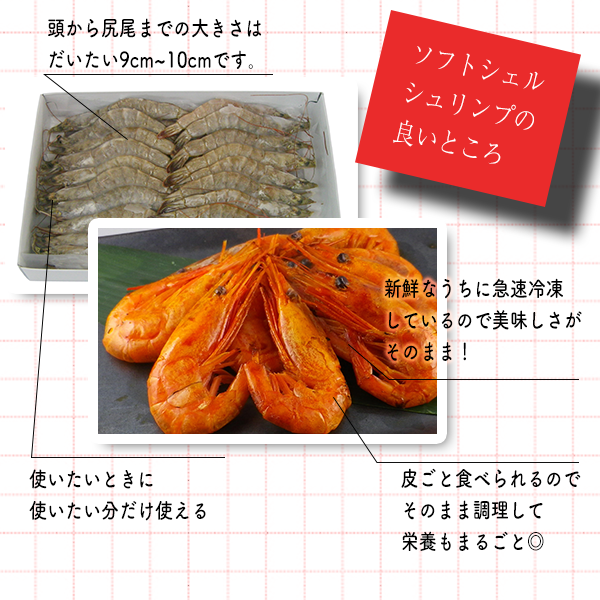 殻ごと食べられる新食感！ソフトシェルシュリンプ ｜455g（25尾） - 海老平や直売所