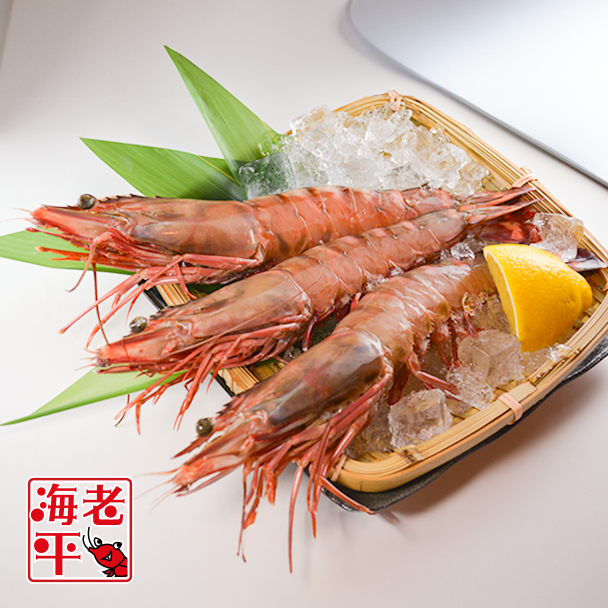 【皇帝海老】シータイガー｜ 超特大 1尾 - 海老平や直売所