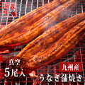 鹿児島県産うなぎ蒲焼き ギフトセット