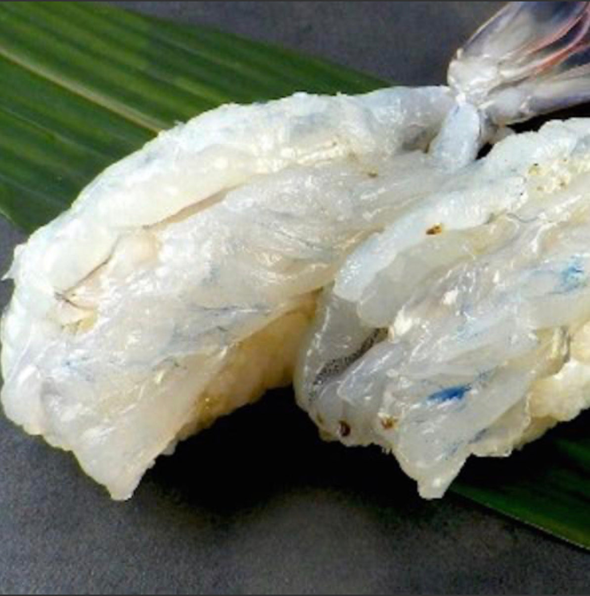 天使の海老｜ 1kg（30〜40尾） - 海老平や直売所
