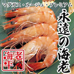 永遠の海老｜ マダガスルージュ｜ 1kg（30〜40尾） - 海老平や直売所