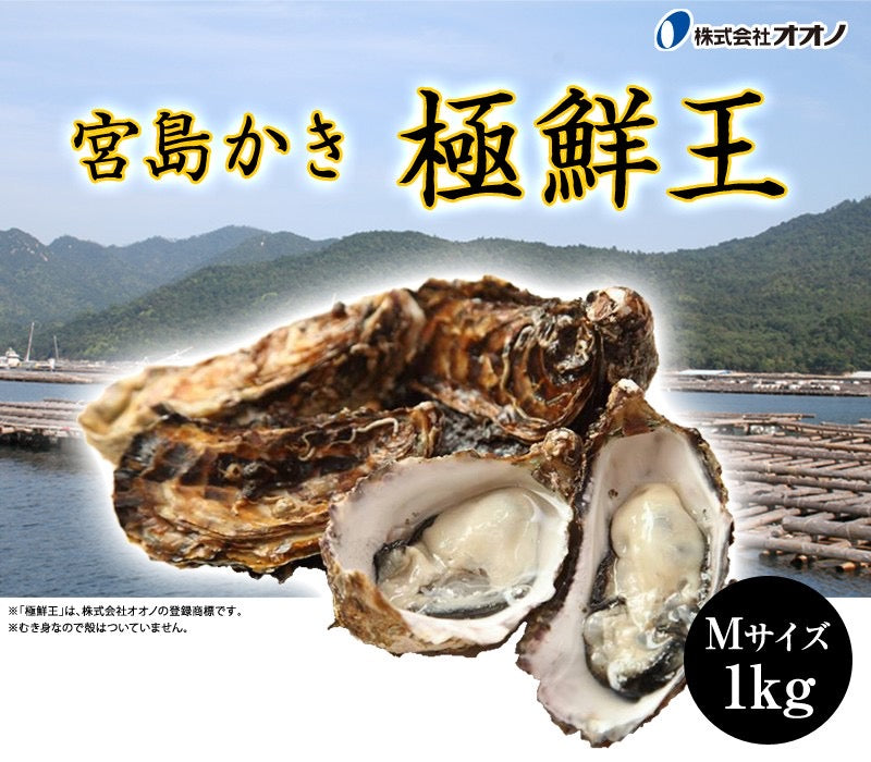 広島産 極鮮王 宮島かき｜2Lサイズ 1kg｜プレミアム品質でプリプリ食感！