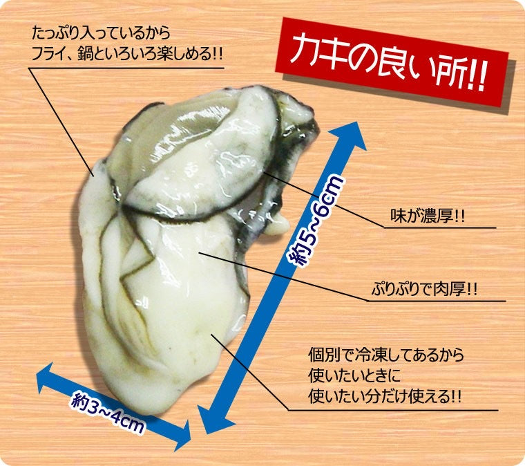 広島産 極鮮王 宮島かき｜2Lサイズ 1kg｜プレミアム品質でプリプリ食感！