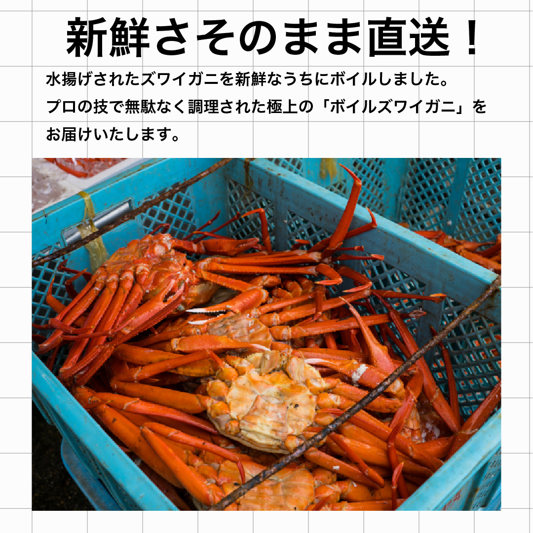 カニが水揚げされている様子