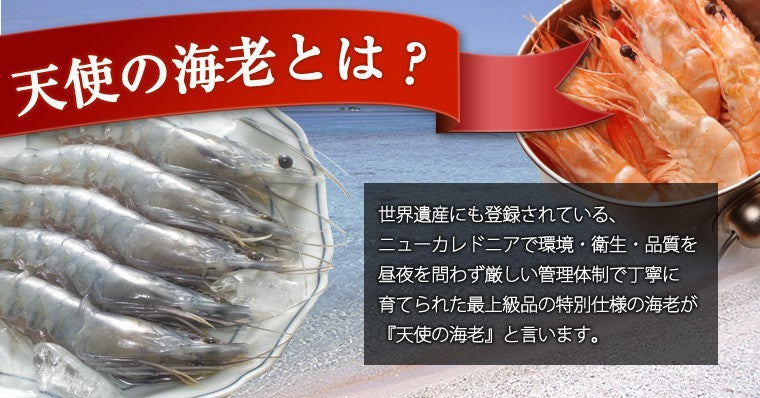 天使の海老｜ 1kg（30〜40尾） - 海老平や直売所