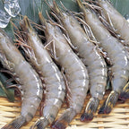 永遠の海老 マダガスルージュ 1kg（30〜40尾）