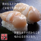 ホタテ貝柱