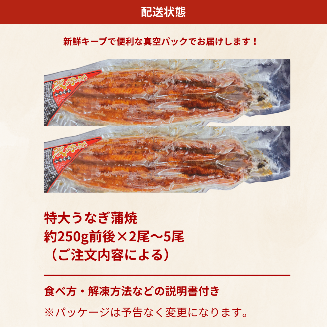 真空パックされた特大うなぎ蒲焼が2尾並んだ配送状態