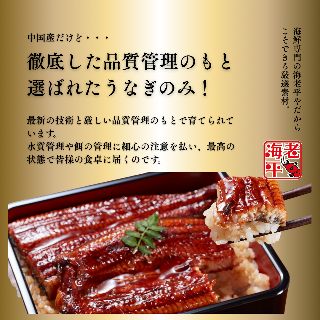 残留農薬・細菌・水質など5項目検査を示すチェックリストと活きたうなぎ