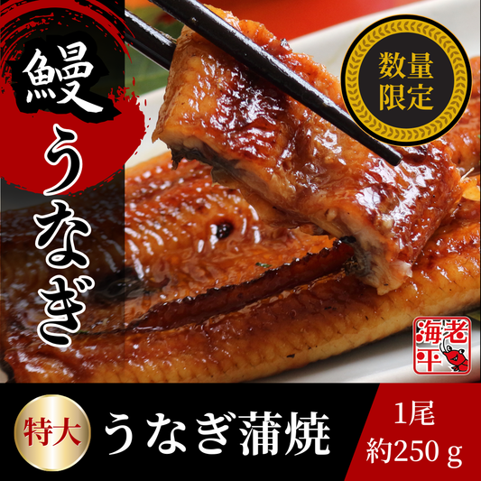 真空パック入り特大250gうなぎ蒲焼を箸で持ち上げるシズルカット